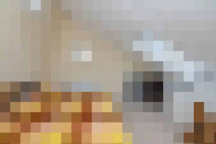 Romeinenveld 13 Arnhem thumbnail 43