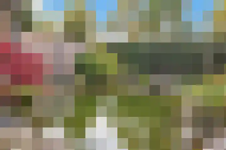Romeinenveld 13 Arnhem thumbnail 56