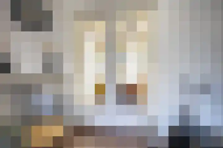 Romerkerkweg 27 Beverwijk thumbnail 13