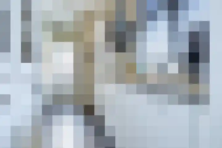 Romerkerkweg 27 Beverwijk thumbnail 18