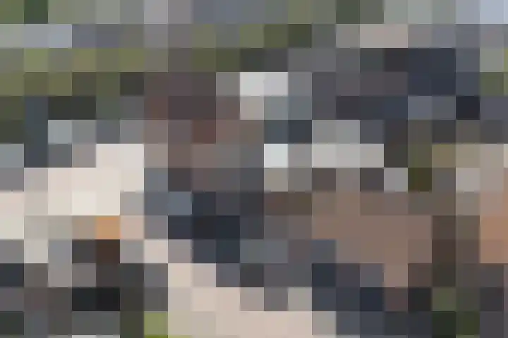 Romerkerkweg 27 Beverwijk thumbnail 52