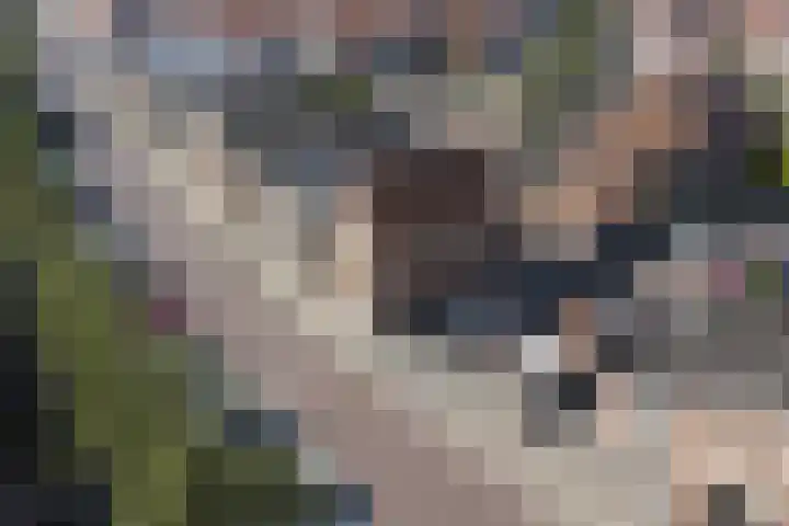 Romerkerkweg 27 Beverwijk thumbnail 56