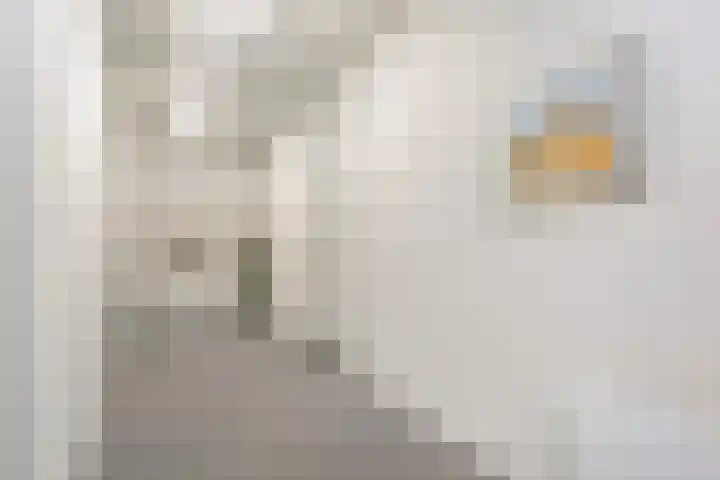 Romestraat 2 Utrecht thumbnail 31