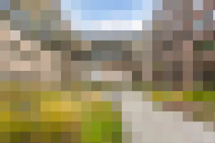 Romestraat 2 Utrecht thumbnail 38