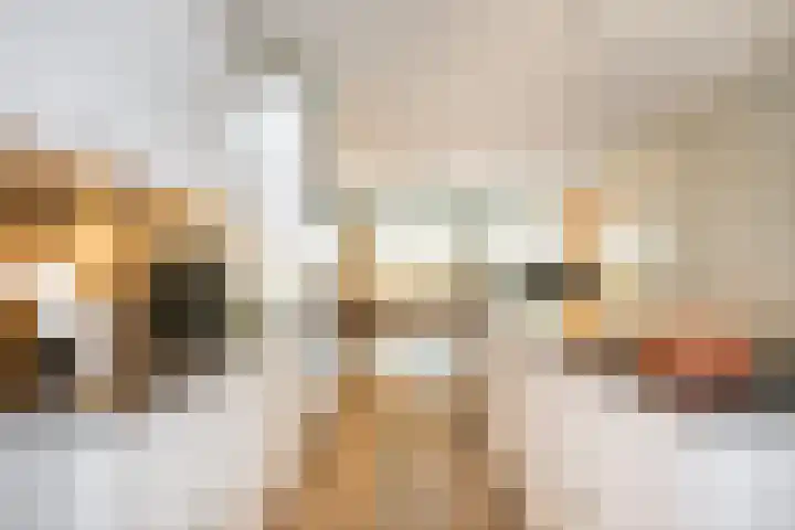 Romestraat 2 Utrecht thumbnail 8