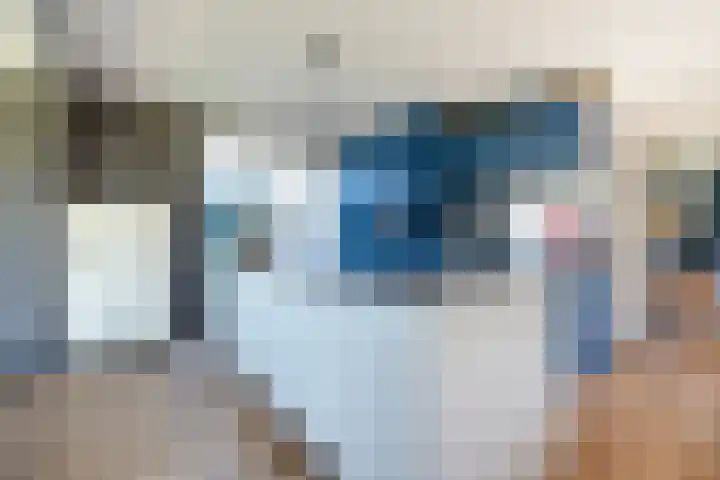 Romhof 33 Beilen thumbnail 10