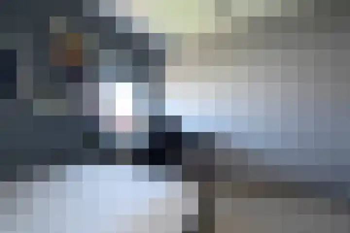 Romhof 33 Beilen thumbnail 39