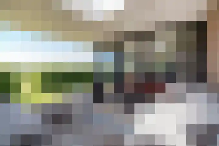 Romhof 33 Beilen thumbnail 44