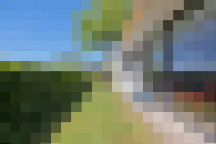 Romhof 33 Beilen thumbnail 48