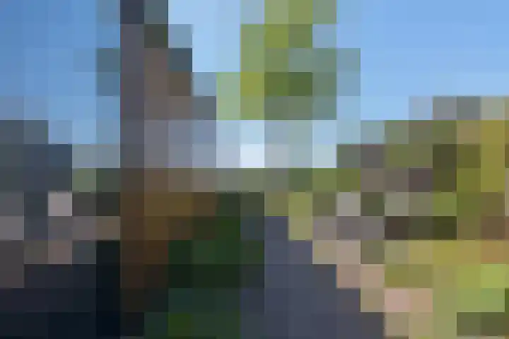 Romhof 33 Beilen thumbnail 51