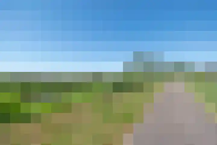 Romhof 33 Beilen thumbnail 56
