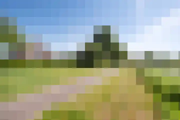 Romhof 33 Beilen thumbnail 58