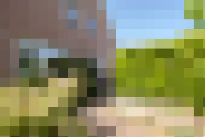 Romhof 33 Beilen thumbnail 60