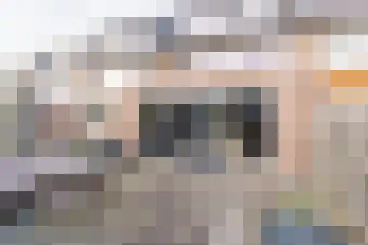 Rommesingel 26 Pijnacker thumbnail 10