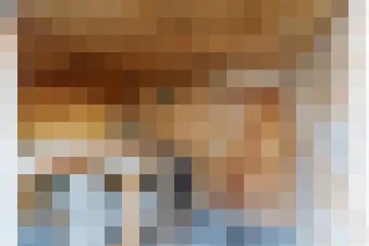 Rommesingel 26 Pijnacker thumbnail 12