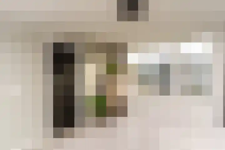 Rommesingel 26 Pijnacker thumbnail 14