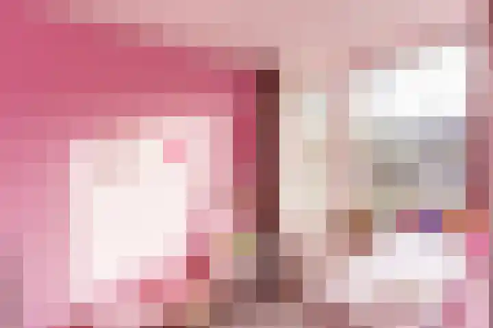 Rommesingel 26 Pijnacker thumbnail 16