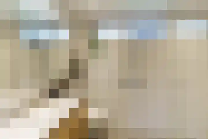 Rommesingel 26 Pijnacker thumbnail 17