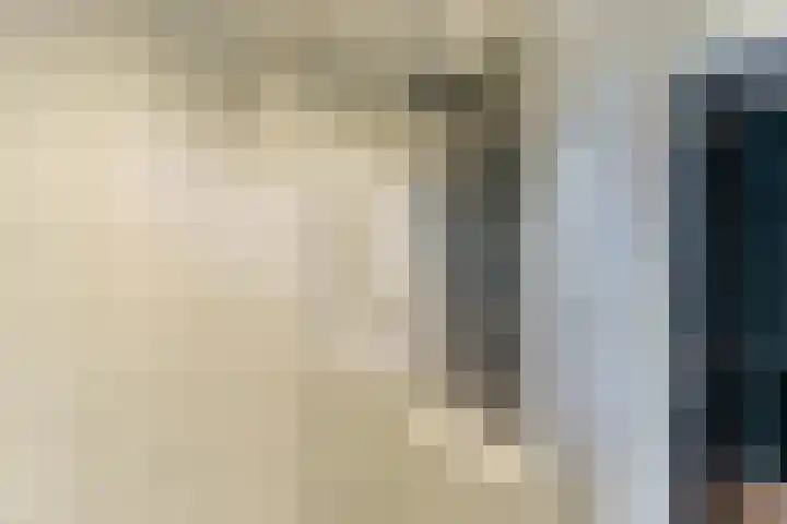 Rommesingel 26 Pijnacker thumbnail 18