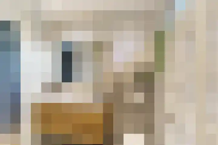 Rommesingel 26 Pijnacker thumbnail 19