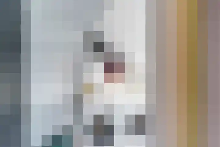 Rommesingel 26 Pijnacker thumbnail 21