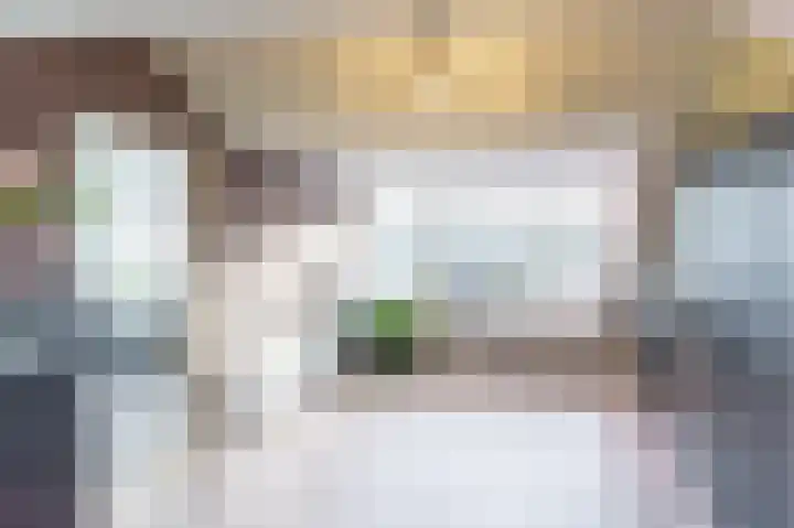 Rommesingel 26 Pijnacker thumbnail 22