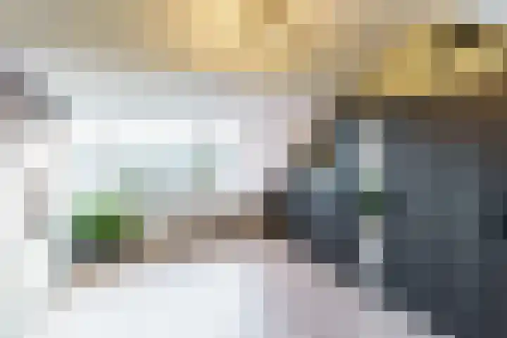 Rommesingel 26 Pijnacker thumbnail 23