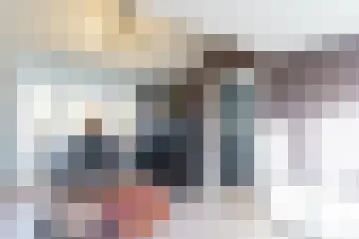 Rommesingel 26 Pijnacker thumbnail 24