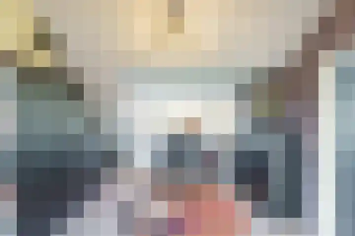 Rommesingel 26 Pijnacker thumbnail 25