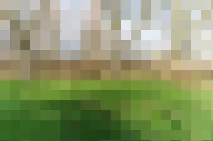 Rommesingel 26 Pijnacker thumbnail 26