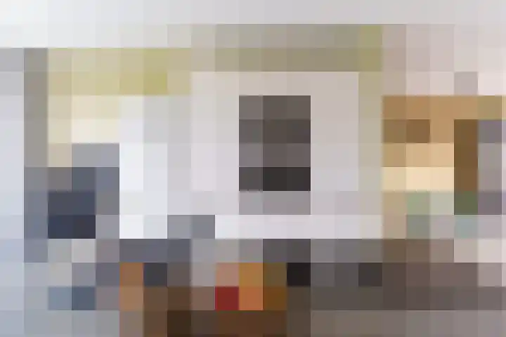 Rommesingel 26 Pijnacker foto 3