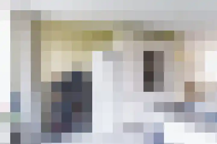 Rommesingel 26 Pijnacker thumbnail 4