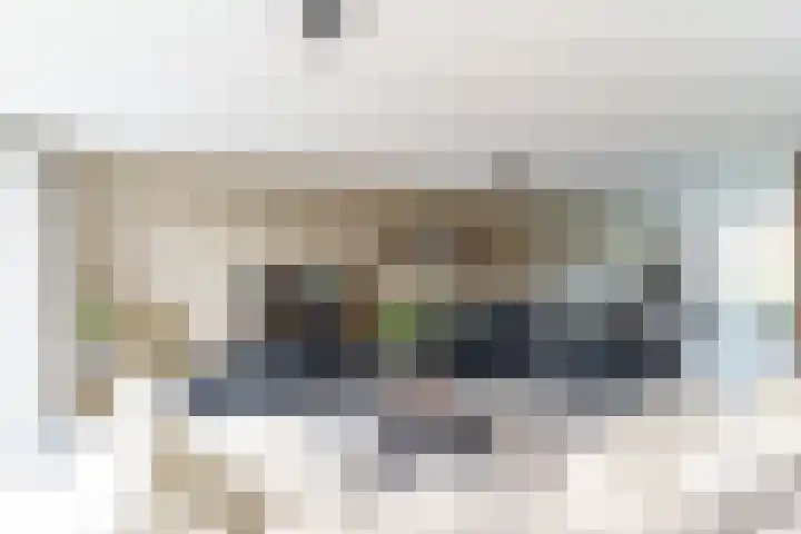 Rommesingel 26 Pijnacker thumbnail 7