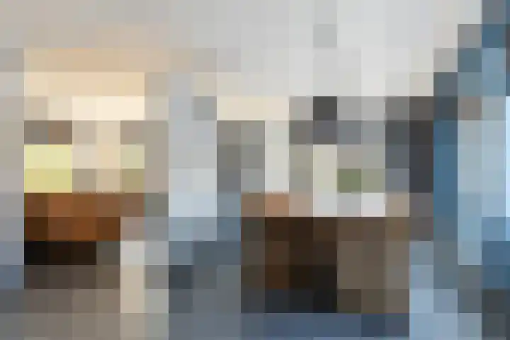 Rommesingel 26 Pijnacker thumbnail 8