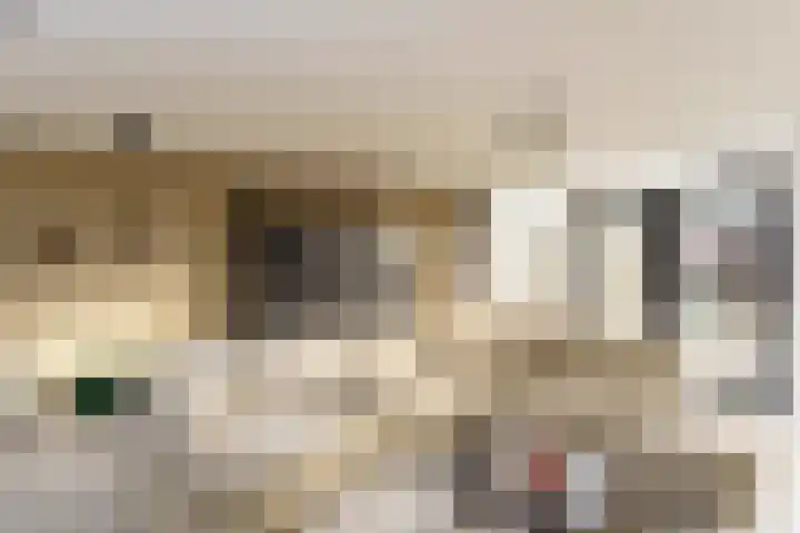 Rommesingel 26 Pijnacker thumbnail 9