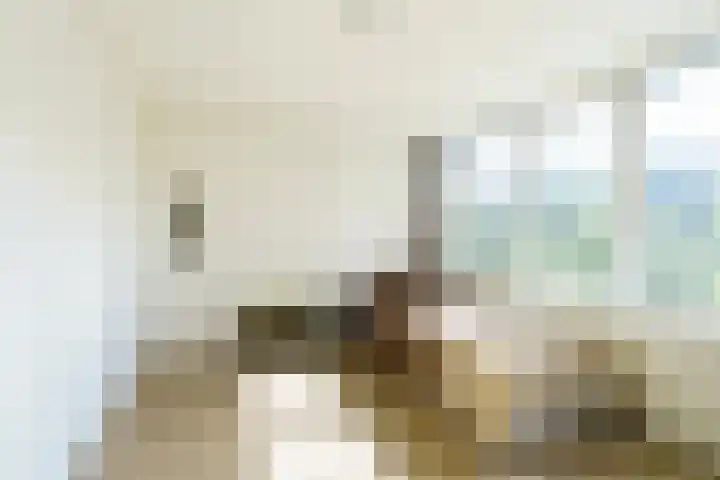 Rommesingel 47 Pijnacker thumbnail 10