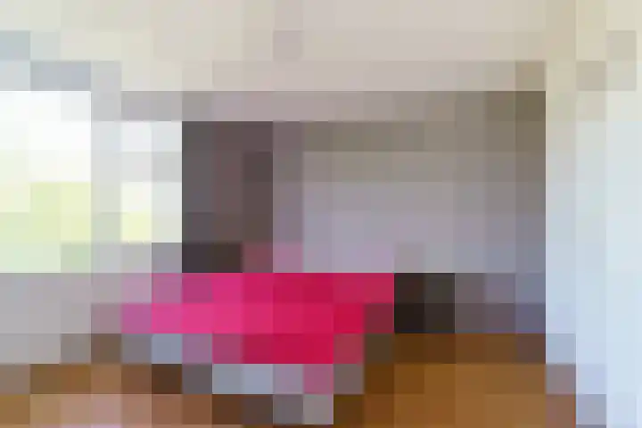 Rommesingel 47 Pijnacker thumbnail 11