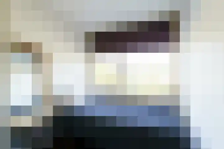Rommesingel 47 Pijnacker thumbnail 12