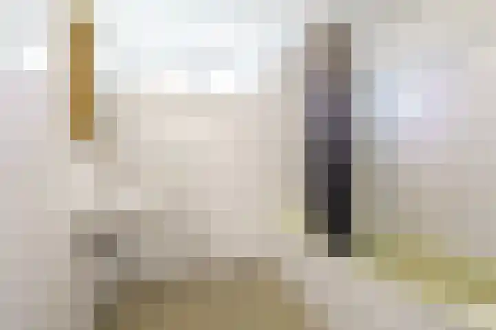 Rommesingel 47 Pijnacker thumbnail 13