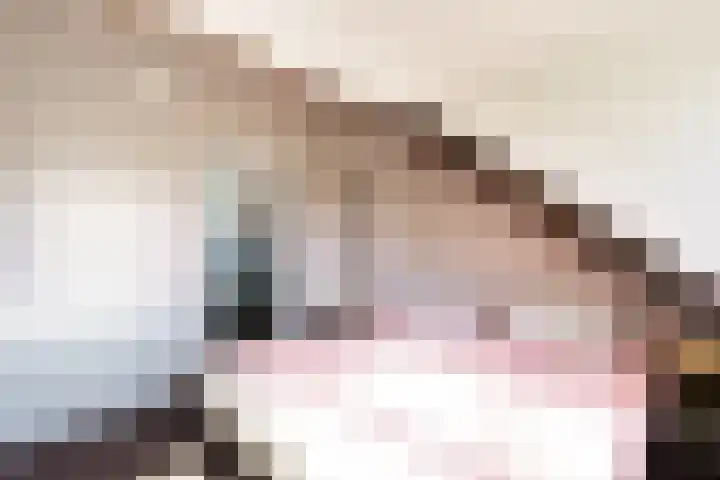 Rommesingel 47 Pijnacker thumbnail 16
