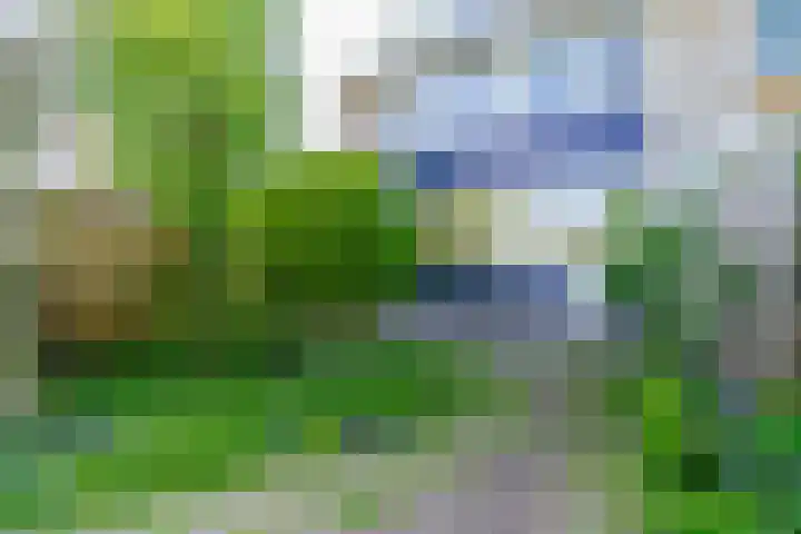Rommesingel 47 Pijnacker thumbnail 17