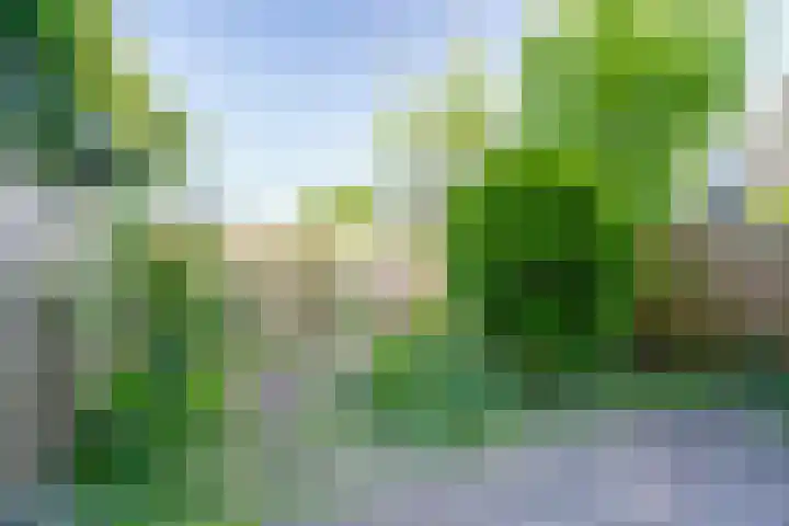 Rommesingel 47 Pijnacker thumbnail 18