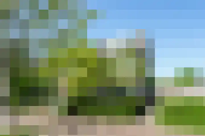 Rommesingel 47 Pijnacker thumbnail 23