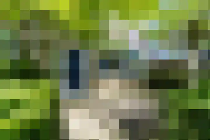 Rommesingel 47 Pijnacker thumbnail 4