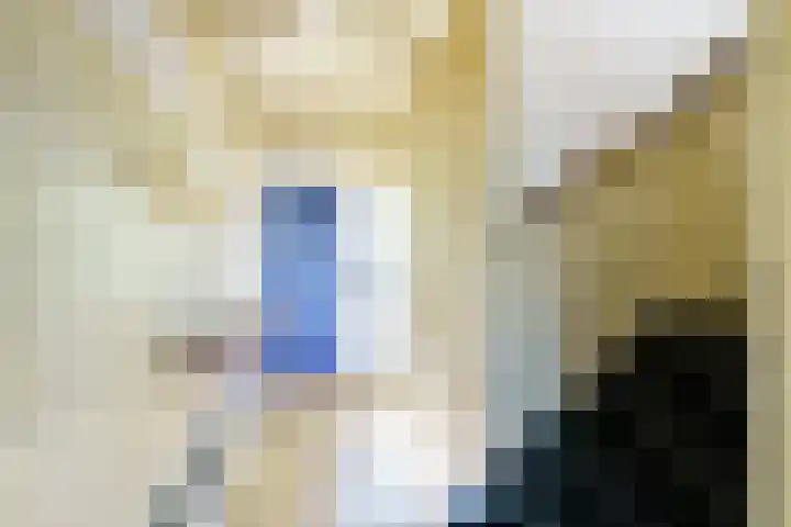 Rommesingel 47 Pijnacker thumbnail 5