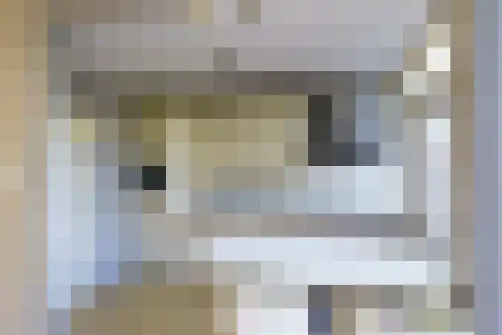 Rommesingel 47 Pijnacker thumbnail 6