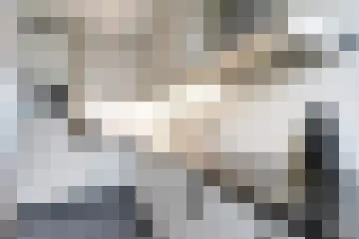 Romp 11 Middelburg thumbnail 10