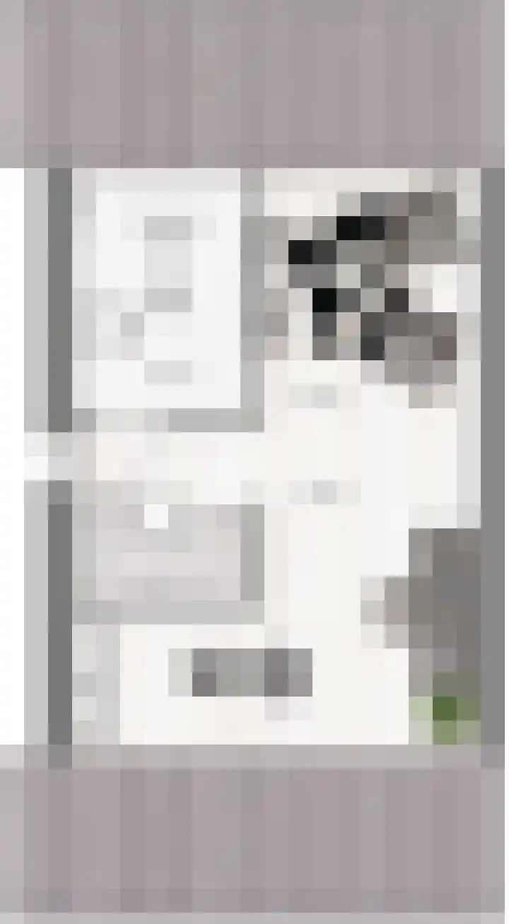 Rompelenbos 11 Meteren thumbnail 4