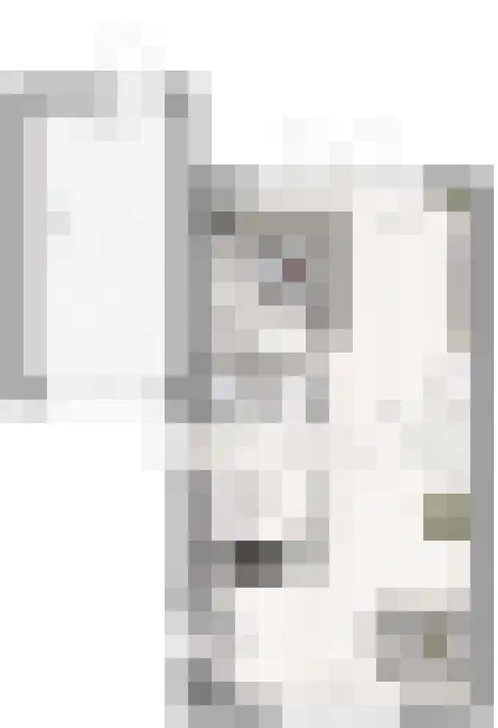 Rompelenbos 11 Meteren thumbnail 5
