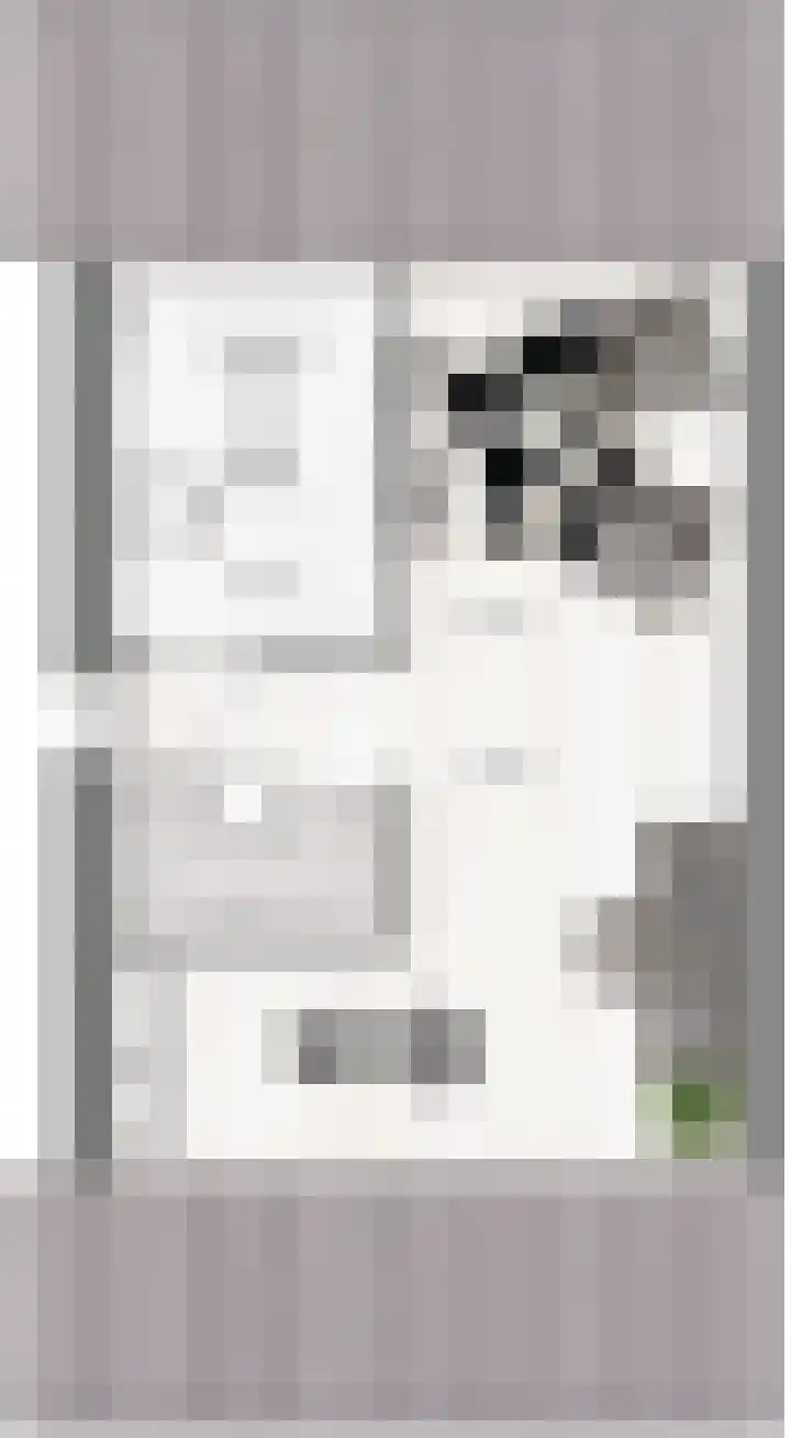 Rompelenbos 9 Meteren thumbnail 4